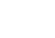 wildcat_white-01
